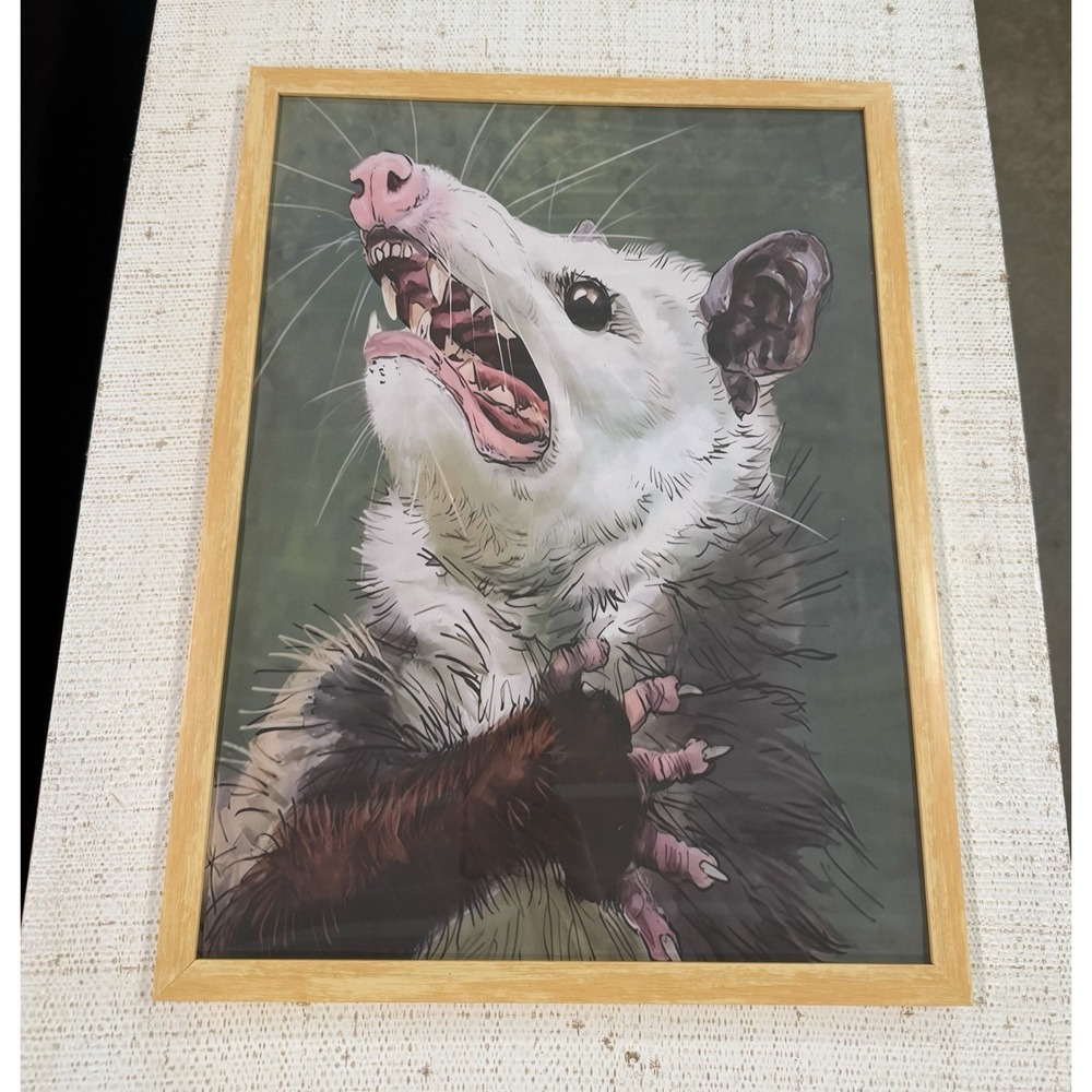 Whimsical Funny, Opossum Wall Art Home Decor Framed Print 12 X 16